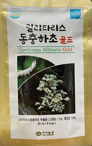 BICH DONG TRUNG NUOC
